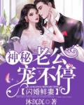 闪婚神秘老公全文免费阅读210章