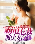 代嫁萌妻：霸道总裁晚上好