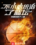 不小心统治了篮坛 小说