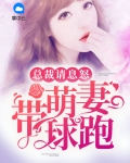 萌妻来袭总裁请赐招