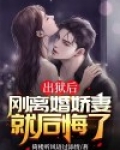出狱后她逃了他找疯了什么名