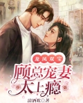 龙凤双宝顾娉婷