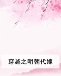 穿越明朝当妃子的小说