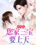司先生疼我免费阅读