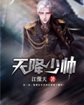 天降少帅