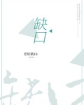 缺口林凡歌曲
