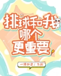 我和排球哪个更重要英语