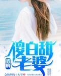 我的傻白甜老婆是什么小说