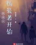 抗战从伪装者开始 小说