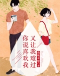 你说喜欢我,又让我难过