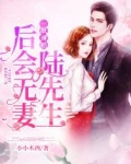一纸薄婚:陆先生,后会无妻 小小木西