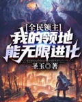 全民领主:我的领地能无限进化 第95章