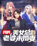 我的冰山美女总裁未婚妻全本免费