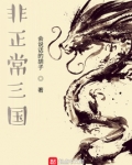 非正常三国小说
