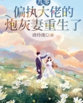 九零,偏执大佬的炮灰妻重生了小说