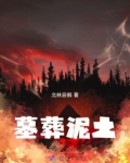 墓葬填土
