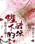 娘娘又打翻了陛下的醋坛