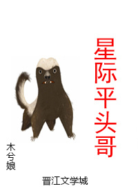 星际平头哥TXT
