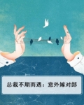 总裁不期而遇:意外嫁对郎