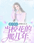 重回我姐当校花的那几年