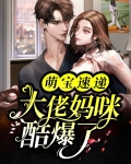 团宠萌宝,妈咪马甲是大佬