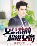 女总裁的超级女婿有声小说