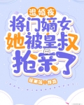 退婚夜！将门嫡女她被皇叔抢亲了