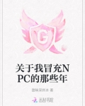关于我冒充npc的那些年小说