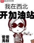 我在西北开加油站
