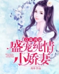 总裁凶猛:盛宠纯情小娇妻全文阅读