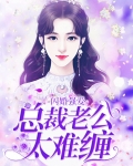 闪婚强爱:总裁老公太难缠