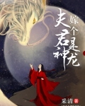 嫁个夫君是神龙免费