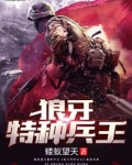 狼牙特种兵王江宸