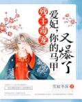 残王毒宠:爱妃,你的马甲又爆了! 雪寂冬深