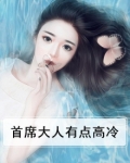 首席大人好高冷免费阅读