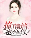撞了南墙也不回头的句子