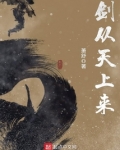 剑从天上来 小说