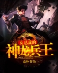美女总裁的神龙兵王 意外