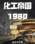 化工帝国1980全本小说