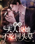 霍总，夫人说她不吃回头草