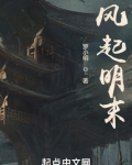 风起明末TXT下载
