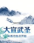 大宣武圣起点中文