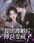 提出离婚后，傅总发疯了