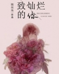致灿烂的你番外