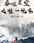 吞噬星空之唯一玩家免费阅读