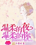 温柔的夜温柔的你 小说