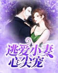 逃婚小王妃免费阅读