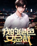 我的绝色总裁未老婆