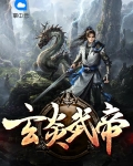 武帝玄尊小说