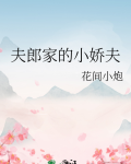 娇宠小夫郎